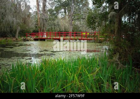 Roter Holzsteg bei Magnolia Gardens Plantation über einem Schwarzwassersumpf im Niederland von Charleston, South Carolina. Stockfoto