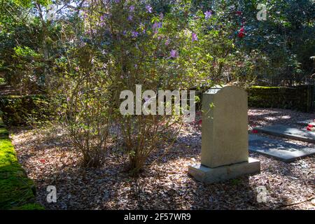 Charleston, South Carolina, USA - 23. Februar 2021: Historischer Friedhof in der Hampton Plantation. Die Plantage wird Berichten zufolge verfolgt. Stockfoto