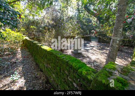 Charleston, South Carolina, USA - 23. Februar 2021: Historischer Friedhof in der Hampton Plantation. Die Plantage wird Berichten zufolge verfolgt. Stockfoto