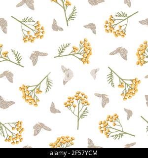Nahtloses Muster mit Blumen von Tansy und Schmetterlingen. Tanacetum auf weißem Hintergrund. Botanische handgezeichnete Illustration Stockfoto