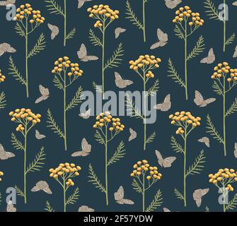 Tanacetum und Schmetterlinge auf einem dunkelblauen Hintergrund.Nahtloses Muster mit Blumen von Tansy und Schmetterlingen. Botanische handgezeichnete Illustration Stockfoto