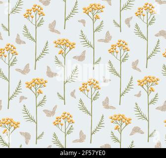 Nahtloses Muster mit Blumen von Tansy und Schmetterlingen. Tanacetum auf hellblauem Hintergrund. Botanische handgezeichnete Illustration Stockfoto