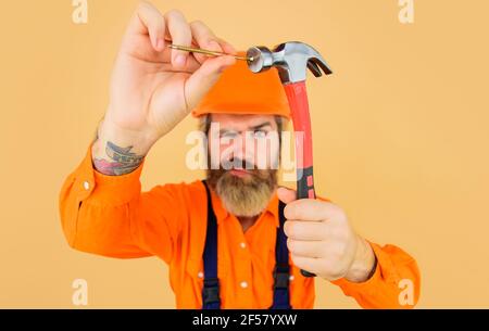 Hammer und Nägel. Builder hämmern Nagel. Werkstatt mit Reparaturwerkzeugen. Selektiver Fokus. Stockfoto