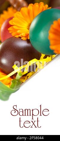 Freilandeier bunt bemalte Eier für Ostern Stockfoto