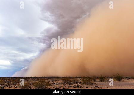 Haboob-Staubsturm in der Wüste nahe Stanfield, Arizona Stockfoto