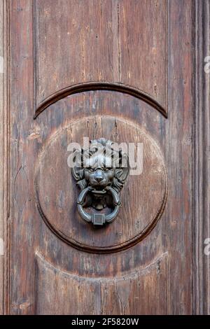 Anguished Looking Lion's Head Door Knocker auf einem alten Holz Tür Stockfoto