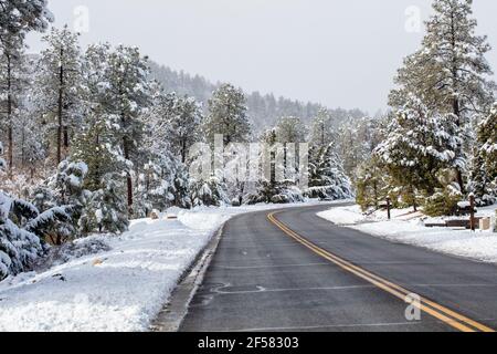 Schöner Schnee nach einem Sturm in den Bergen von Prescott, Arizona in einer lokalen Gemeinde Stockfoto