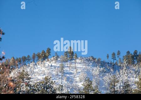 Schöner Sonnenschein und blauer Himmel nach einem Winterschneesturm In Prescott Arizona Stockfoto