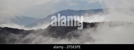 Abgelegene Dorf in Darjeeling bieten schöne Bergrücken in silbrig gebadet Nebel und schwebende Wolken Stockfoto