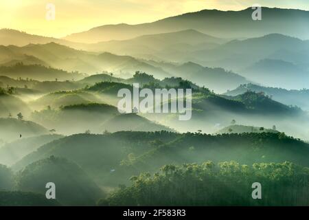 Phantasievolle Landschaft eines frühen Morgens, wenn die Sonne über den Dai Lao Berges Bereich ansteigt, Bao Loc Bezirk, Provinz Lam Dong, Vietnam Stockfoto