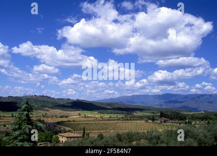 Landwirtschaftliche Landschaft mit Bauernhaus in der Region Valdarno in der Toskana, Italien Stockfoto