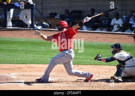 Albert Pujols von den Los Angeles Angels Hits während eines MLB-Frühjahrstrainings in American Family Fields, Montag, 8. März 2021, in Phoenix, AZ (Chris Bernacci/Image of Sport) Stockfoto