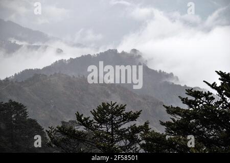 Panoramablick auf Reihen von Bergkämmen, Kiefernwald mit silbrigen Nebel und Wolken Stockfoto