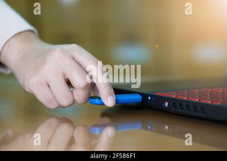 Hand der Frau, die ein Flash-Laufwerk an einen Laptop-Computer auf dem Desktop zum Kopieren oder Übertragen von Daten. Stockfoto