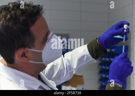 Die Krankenschwester des Coria City Hospital, Raúl Martín, bereitet die Spritzen mit der Dosis am ersten Tag der Astra Zeneca-Impfstoffgabe vor. Stockfoto