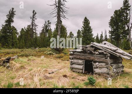 Ein verlassene alte Jagdhütte in der Taiga auf einer Lichtung. Wildtiere und ein einsames ruiniertes Haus. Abenteuer- und Reisekonzept. Stockfoto