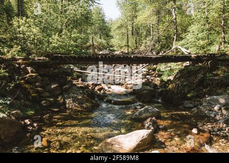 Holzbrücke über einen kleinen Gebirgsfluss in einem Frühlingswald. Sonniger Nachmittag. Ausflüge im Freien an einem freien Tag. Stockfoto
