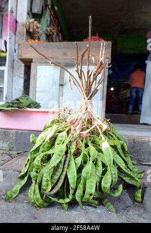 Der lebhafte und farbenfrohe Markt in Banyuwangi, Ost-Java, Indonesien. Stockfoto