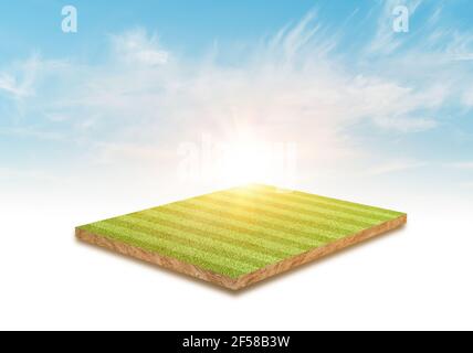 3D Rendering. Grünes Gras Fußballfeld und Himmel Wolke Hintergrund. Stockfoto