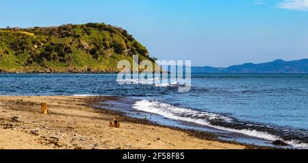 Chirigashima ist zu Fuß nicht erreichbar, da die Gezeiten eine natürliche Sandbrücke zwischen der Insel und den Ufern der Stadt Ibusuki überzogen haben. Stockfoto