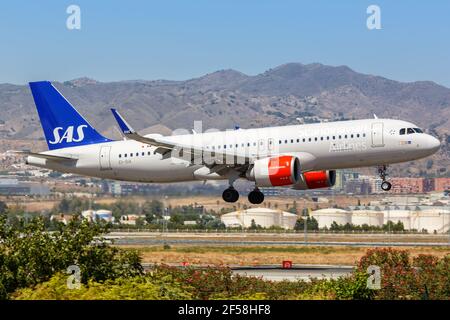 Malaga, Spanien - 28. Juli 2018: SAS Scandinavian Airlines Airbus A320neo am Flughafen Málaga in Spanien. Airbus ist ein europäischer Flugzeughersteller Stockfoto