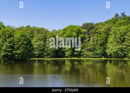 Schlosspark ballenstedt Harz Stockfoto