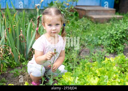 Cute kaukasischen Kind Mädchen unter den Betten mit grünem Gemüse Im Dorf Stockfoto