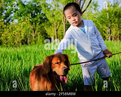 Ein glücklicher Junge und Hund spielen im Park Stockfoto