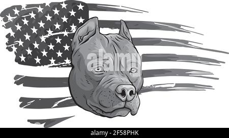 Design von Kopf Pitbull mit amerikanischen Flagge Vektor Illustration Stock Vektor