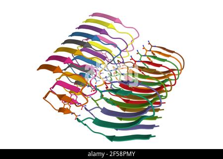 Amyloid Fibril Struktur der Insel Amyloid Polypeptid, 3D Cartoon-Modell, weißer Hintergrund Stockfoto