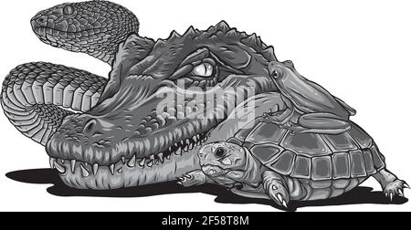 Design von Reptilien und Amphibien. Wildes Krokodil, Schlange, Schildkröte und Frosch Stock Vektor