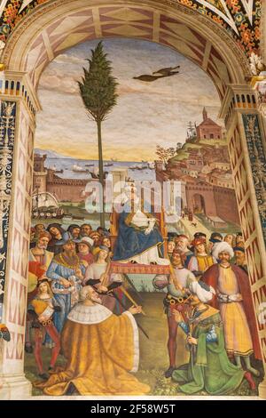 Fresken von Bernardino Pinturicchio in der Piccolomini-Bibliothek im Dom von Siena. Stockfoto