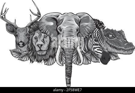 Design von Cartoon afrikanische wilde Tiere auf weißem Hintergrund Stock Vektor