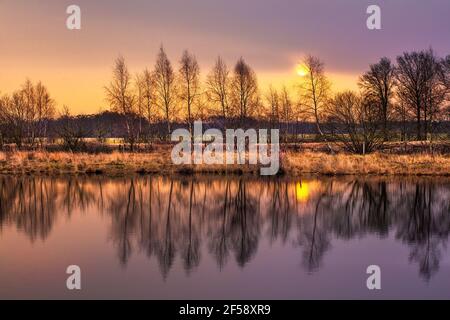 Sonnenaufgang auf einer Heide mit einer Reihe von Bäumen, die sich in einem See spiegeln, Niederlande. Stockfoto