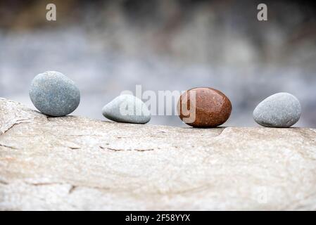 Ein Hintergrund aus Kieselsteinen am Meer am Strand, ein Symbol für Frieden, Entspannung und Vielfalt. Stockfoto