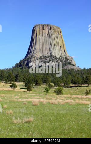 Geographie / Reisen, USA, Wyoming, Bear Lodge Mountains, Devils Tower, Bear Lodge Mountain, Zusätzliche-Rights-Clearance-Info-Not-Available Stockfoto