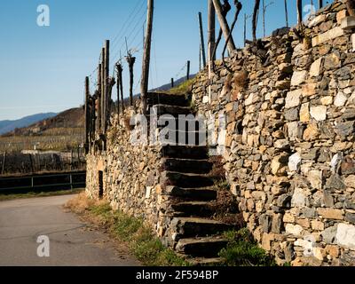 Alte Weinberge, Steinmauer mit Treppen bei Weissenkirchen (Wachau, Österreich) im Winter Stockfoto