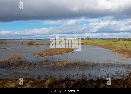 North Duffield Carrs, ein Feuchtgebiet Naturschutzgebiet im Lower Derwent Valley, North Yorkshire, England Stockfoto