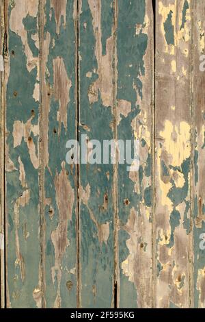 Holz mit gelber und grüner abblätternder Farbe auf Türrissen Hochformat der Tür Stockfoto
