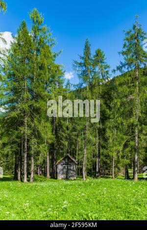 Typischer Blick auf den Dolomitenboden. Das Val Fiscalina Stockfoto