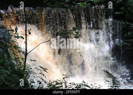 Kaskade von Wasser, wie es über Felsen in Wäldern fließt, Wasserfall in den Bäumen Stockfoto