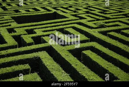 Labyrinth Detail in einem Wald, Spiel und Spaß Stockfoto