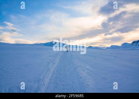 Person in der Ferne auf einem Pfad im tiefen Schnee auf dem Berghochland. Stockfoto