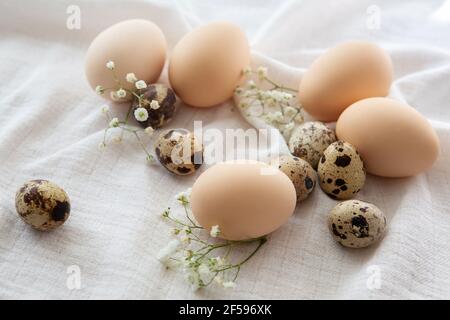 Hühner- und Wachteleier auf weißem Hintergrund, selektiver Fokus. Frohe ostern Hintergrund. Stockfoto