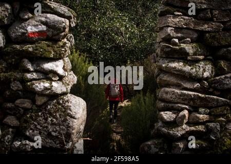 Frau in roter Jacke Wandern in der Mitte eines Wald durch eine Steinmauer mit Wanderzeichen Stockfoto