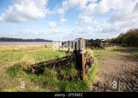 Altes Schiffswrack auf dem Friedhof der Purton-Schiffe, ungewollte Schiffe, die an den Ufern des Flusses Seven zur Verhinderung von Erosion befahren wurden, Berkeley, Gloucestershire, Großbritannien Stockfoto