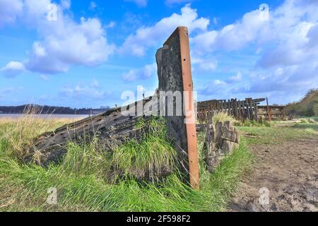 Altes Schiffswrack auf dem Friedhof der Purton-Schiffe, ungewollte Schiffe, die an den Ufern des Flusses Seven zur Verhinderung von Erosion befahren wurden, Berkeley, Gloucestershire, Großbritannien Stockfoto