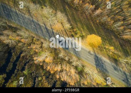 Luftaufnahme der Straße mit einem Auto im Herbstwald. Aufgenommen von oben mit einer Drohne. Stockfoto
