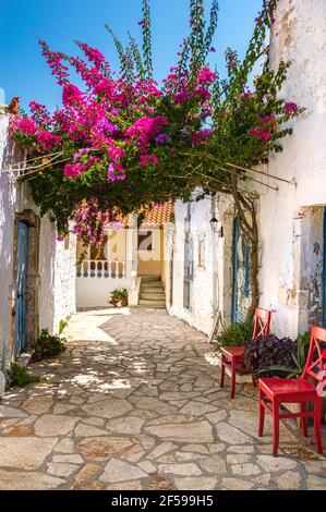 Malerische Straße mit weißen antiken griechischen Häusern und lebhaften Blumen von rosa Bougainvillea im alten Dorf Afionas auf der Insel Korfu, Griechenland. Berühmt