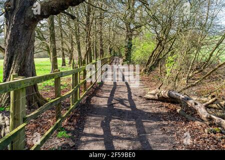 Ein Weg, der zum Moat Mount Open Space in Mill Hill, London führt Stockfoto